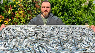 The Best Sprats Cooked at Home! Recipe for natural canned fish