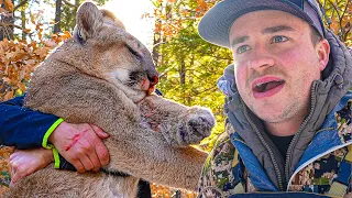 Hunting Mountain Lion in NASTY Terrain!