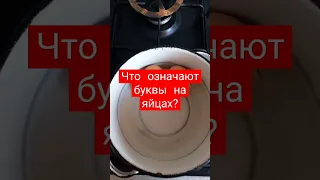 Что означают буквы на яйцах?