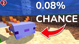 How I Got The Rarest Pet in Minecraft Hardcore!