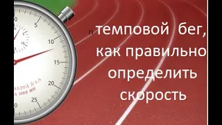 Разговоры о триатлоне. Темповой бег. Как правильно делать.