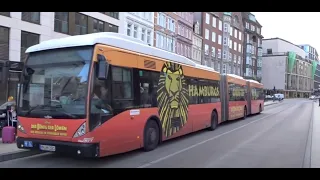 Bi-Articulated Buses in Hamburg, Germany (Three-piece)! Bi-Gelenkbusse in Hamburg, Deutschland 2017