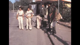 Israel 1979 archive footage