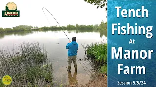 Tench Fishing At Linear Fisheries - Manor Farm - Tactics & Approach - 5➜6/5/24 (Video 493)