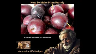 How to make plum brandy