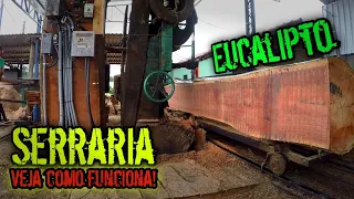 SERRARIA | PROCESSO DO COMEÇO AO FINAL DA PEÇA, TORA DE EUCALIPTO !