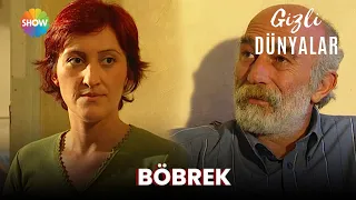 Gizli Dünyalar | Böbrek (2023)