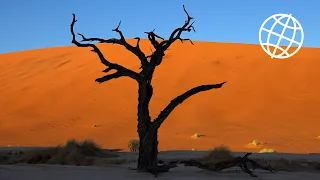 Deadvlei & Namib-Naukluft National Park, Namibia  [Amazing Places 4K]