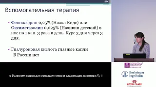 Богданова Н. В. - Герпесвирусная инфекция кошек