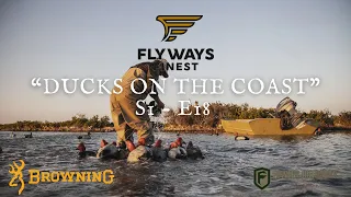 200 DUCKS in a HOUR! NONSTOP DUCKS DECOYING on the COASTS of MEXICO! Bucket List DUCK HUNT in EP 18
