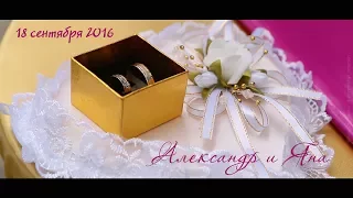 Свадебный клип, Саша & Яна, 18 сентября 2016