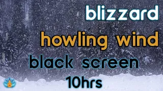 [Black Screen] Snowstorm Howling Wind: Blizzard and Snow Sounds for Sleep / Study / Relax | 10Hrs