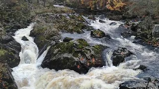 At the Falls of Feugh in Banchory, Aberdeenshire
