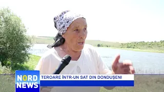 TEROARE ÎNTR-UN SAT DIN DONDUȘENI | NordNews