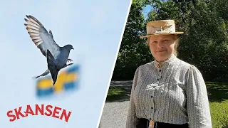 Skansen berättar – Varför firar vi Sveriges nationaldag den 6 juni?