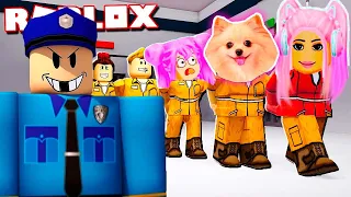 САМЫЙ СЛОЖНЫЙ ПОБЕГ ИЗ ТЮРЬМЫ В РОБЛОКС ! УБЕЖАЛА ИЗ 3 РАЗНЫХ ТЮРЬМ В ROBLOX