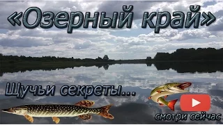 Ловля щуки на кружки. Озерный край. Fishing for pike.