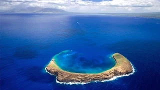 Trip to Maui: Molokini Crater snorkeling