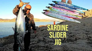 Shore Jigging: A MONSTER Albacore Broke my record AGAIN! Feat: Sardine Slider! EXTREME FIGHT!