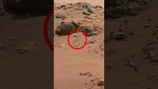Som ET - 78 - Mars - Curiosity Sol 712 - Video 1 #Shorts