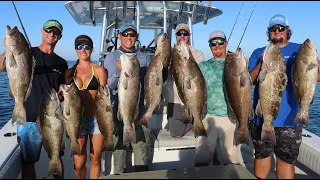 Crystal River Grouper Fishing Part 2