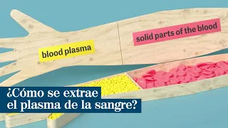 Así funcionan las máquinas de extracción de plasma sanguíneo