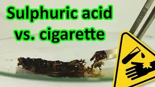 🚬 96% Sulphuric acid vs. cigarette