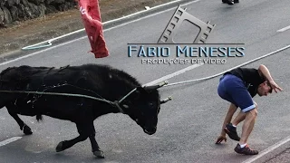 (Recordando) Tourada no TERREIRO SANTO-VILA NOVA de Herd.ER | 29-08-2016