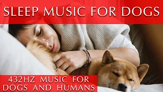 Dog and Human Sleep Music 11 Hours [432 Hz]