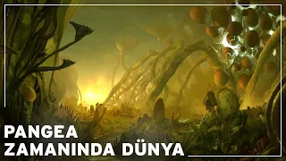 Pangea zamanında Dünya nasıl bir yerdi ? | Dünya Tarihi Belgeseli