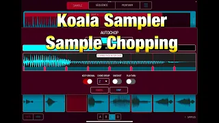 Koala Sampler Tutorial - Sample Chopping & Auto Chop
