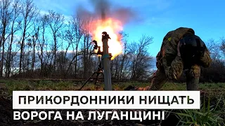 Прикордонники на Луганщині: аеророзвідка та знищення ворожих цілей