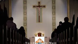 Tuesday 8:00 am Daily Mass. March 26, 2024