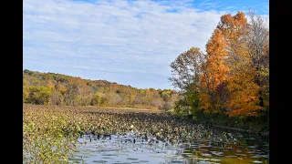 Autumn at Burr Oak State Park, Ohio