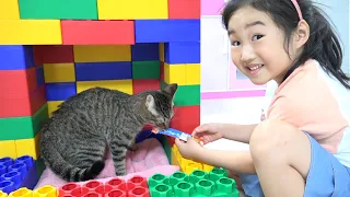 Boram et Chat Jouent Dans la Petite Maison pour Enfants