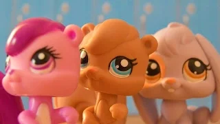 Littlest Pet Shop: Minulost (Molly&Alma)