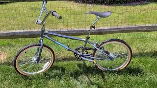 Schwinn Sting Pro and Predator Team BMX Bike for Kids Review