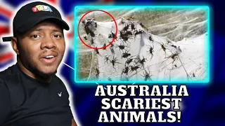 AMERICAN REACTS TO 17 Scariest Animals in Australia