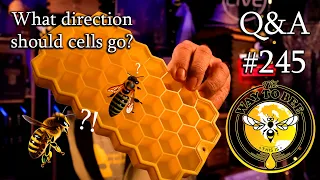 Backyard Beekeeping Questions and Answers Episode 245 pollen subs and more...