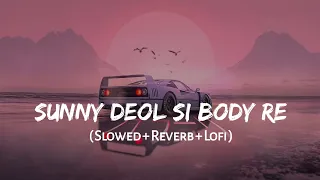 Sunny Deol Si Body - Lofi Mix | Slowed + Reverb | Raju Panjabi | Choudhar Jaat Ki | SSR Lofi