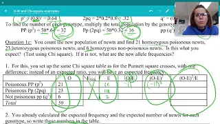 Intro to Hardy-Weinberg Chi Square Problems