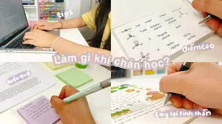 CHÁN HỌC VÀ CÁCH LẤY LẠI ĐỘNG LỰC HỌC //orangiee