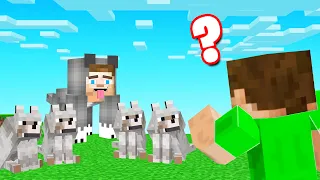 Which WOLF Is The REAL SLOGO!? (Minecraft Guess Who)