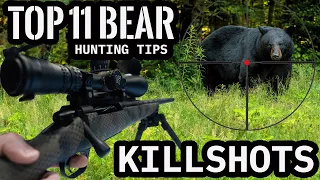 TOP 11 Bear Kill Shots & Hunting Tips