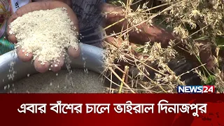 বাঁশফুল থেকে চাল, রান্না হচ্ছে ভাত-পায়েস | News24 Special