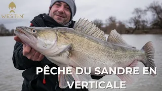 PÊCHE DU SANDRE EN VERTICALE | Westin Fishing France