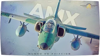 AMX International AMX