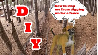 HOW TO STOP DOGS FROM DIGGING UNDER FENCE. THIS REALLY WORKS D-I-Y