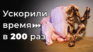 МЫ СОСТАРИЛИ ЭТИ ВЕЩИ НА 10 ЛЕТ!