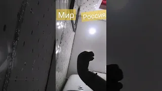 я выбираю мир! 💪 МЫ СЕМЬЯ